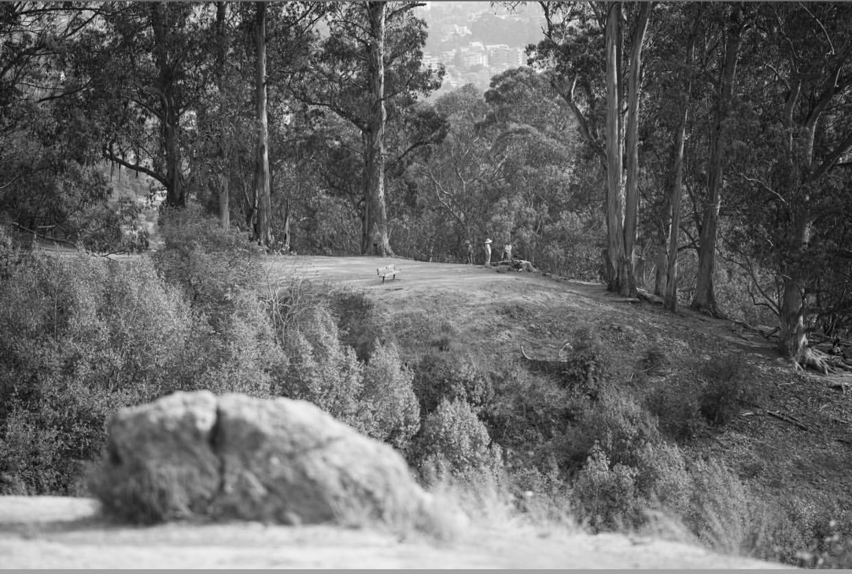 Outdoor Photography